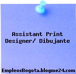 Assistant Print Designer/ Dibujante