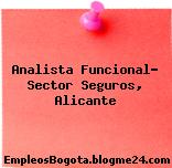 Analista Funcional – Sector Seguros, Alicante