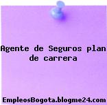 Agente de Seguros plan de carrera