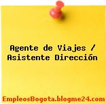 Agente de Viajes / Asistente Dirección