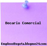Becario Comercial