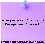 Teleoperador / A Banca Recepción (tarde)