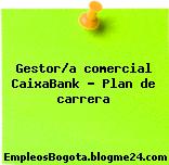 Gestor/a Comercial Caixabank -plan De Carrera