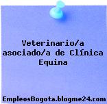 Veterinario/a asociado/a de Clínica Equina