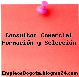 Consultor Comercial Formación y Selección