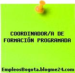 COORDINADOR/A DE FORMACIÓN PROGRAMADA