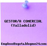 GESTOR/A COMERCIAL (Valladolid)