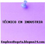 TÉCNICO EN INDUSTRIA