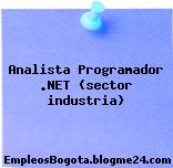 Analista Programador .NET (sector industria)