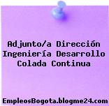 Adjunto/a Dirección Ingeniería Desarrollo Colada Continua
