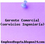 Gerente Comercial (servicios Ingeniería)