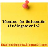 Técnico De Selección (it/ingenieria)