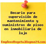 Becario para supervisión de mantenimiento y suministros de pisos en inmobiliaria de lujo
