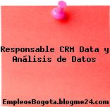 Responsable CRM Data y Análisis de Datos