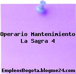 Operario Mantenimiento La Sagra 4
