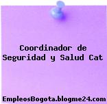 Coordinador de Seguridad y Salud Cat