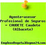 Agente-asesor Profesional de Seguros – CAUDETE Caudete (Albacete)