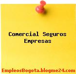 Comercial Seguros Empresas