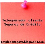 Teleoperador cliente Seguros de Crédito