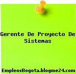 Gerente De Proyecto De Sistemas