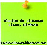 Técnico de sistemas Linux, Bizkaia