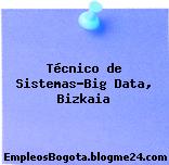 Técnico de Sistemas-Big Data, Bizkaia