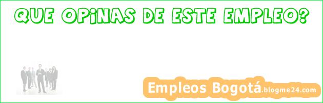 Gestor De Ventas .multinacional Traducción.inglés