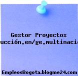 Gestor Proyectos Traducción.en/ge.multinacional
