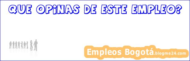 Profesor de Formación Vial (MEDIA JORNADA)