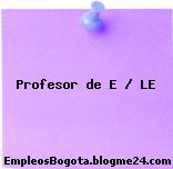 Profesor de E / LE