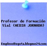 Profesor de Formación Vial (MEDIA JORNADA)