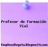 Profesor de Formación Vial