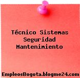 Técnico Sistemas Seguridad Mantenimiento