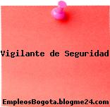 Vigilante de Seguridad